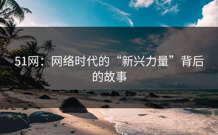 51网：网络时代的“新兴力量”背后的故事